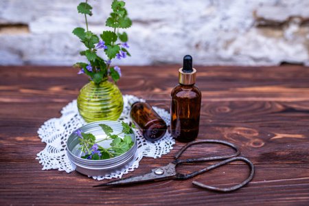 Photo for Glechoma hederacea, ground-ivy, gill-over-the-ground, creeping charlie, alehoof, tunhoof, catsfoot, creeping jenny. Cosmetic bottle of oil for body care. Essential oil in a cosmetic bottle on a wooden - Royalty Free Image