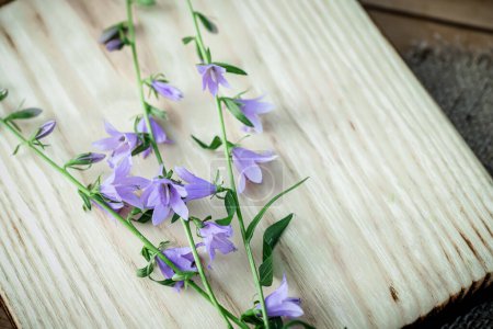 Foto de Campanula rotundifolia: un remedio natural, elegantemente exhibido en una superficie de madera rústica. - Imagen libre de derechos
