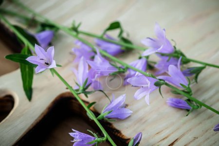 Foto de Campanula rotundifolia flores ofrecen una curación holística, que se muestra en un encantador plato de madera. - Imagen libre de derechos