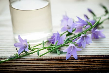 Foto de Descubre los secretos medicinales de las flores de Campanula rotundifolia en una bandeja de madera. - Imagen libre de derechos