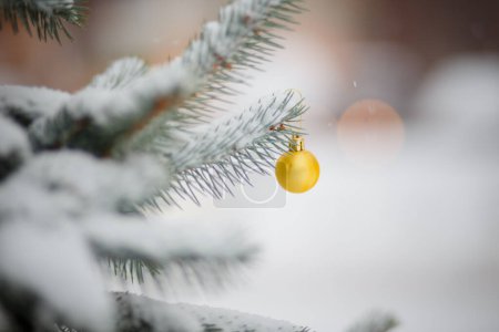 Foto de Bolas de árbol de Navidad amarillas y azules en los colores de la bandera de Ucrania. juguete en el árbol de Navidad nevado. Fondo de Navidad. primera nevada. Ramas de árboles de Navidad en la nieve. Fuertes ventiscas, clima nevado. - Imagen libre de derechos