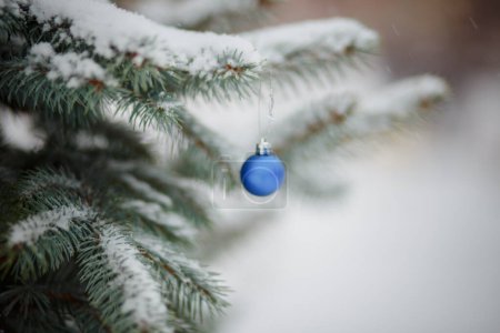 Téléchargez les photos : Boule de sapin de Noël bleu aux couleurs du drapeau de l'Ukraine. jouet sur sapin de Noël enneigé. Fond de Noël. première chute de neige. branches d'arbre de Noël dans la neige. Forts blizzards, temps neigeux. Espace de copie - en image libre de droit