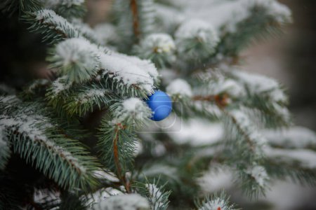 Téléchargez les photos : Boule de sapin de Noël bleu aux couleurs du drapeau de l'Ukraine. jouet sur sapin de Noël enneigé. Fond de Noël. première chute de neige. branches d'arbre de Noël dans la neige. Forts blizzards, temps neigeux. Espace de copie - en image libre de droit