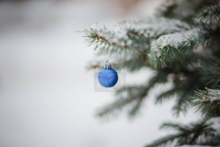 Foto de Bola de árbol de Navidad azul en los colores de la bandera de Ucrania. juguete en el árbol de Navidad nevado. Fondo de Navidad. primera nevada. Ramas de árboles de Navidad en la nieve. Fuertes ventiscas, clima nevado. Copiar espacio - Imagen libre de derechos