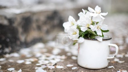 Téléchargez les photos : Still life with cup and bouquet of branches with apple blossoms. White petals of flowering trees that fell on concrete.. - en image libre de droit