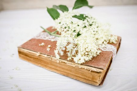 Spirituelle Reisen mit einem Buch über Selbsthilfezauber mit Rezepten für Wellnesssalons aus Holundersaft. Holunderblüten auf weißem Holzgrund in der Nähe eines Vintage-Buches.