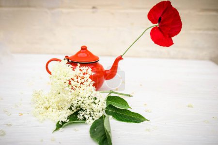 Foto de Bright red teapot for brewing elderberry tea in nature. Herbal homemade tea for immunity - Imagen libre de derechos