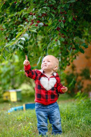 Photo for Toddler in joyful pose, hands full of freshly picked cherries. - Royalty Free Image