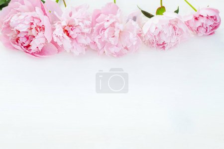 Foto de Flores frescas de peonía, rosadas y vibrantes, bellamente dispuestas sobre una mesa blanca. Vista superior y espacio para su texto. - Imagen libre de derechos