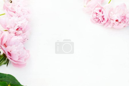 Foto de Peonías rosadas en plena floración, elegantemente exhibidas en mesa blanca. Vista superior. - Imagen libre de derechos