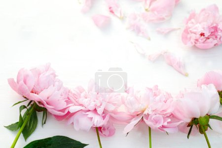 Téléchargez les photos : Les pivoines roses fraîches créent un spectacle vibrant sur une table blanche, irradiant la joie du printemps. Vue du dessus avec espace pour le texte. - en image libre de droit