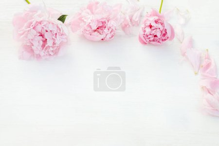 Foto de Flores de peonía rosa, arregladas con cuidado, encanto natural a la composición en la mesa blanca limpia. Vista superior con espacio de copia. - Imagen libre de derechos