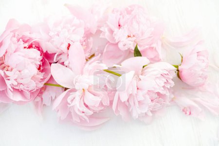 Foto de Flores frescas de peonía, rosadas y vibrantes, bellamente dispuestas sobre una mesa blanca. Vista superior y espacio para su texto. Concepto de boda o San Valentín - Imagen libre de derechos