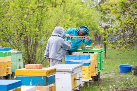 Photo for Dad and son on apiary. Family agribusiness. Boy records video as father works near bee hives. Online education in beekeeping and fertilization of queen bee. - Royalty Free Image