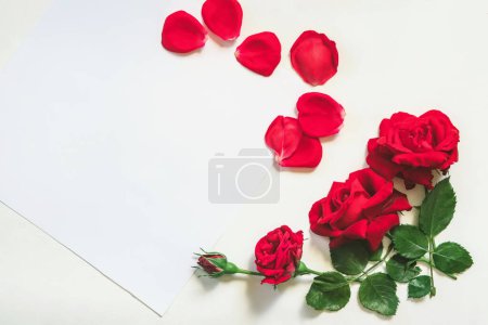 Foto de Rosas rojas y hoja blanca de papel sobre fondo blanco. Fondo del día de San Valentín. - Imagen libre de derechos