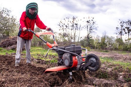 Téléchargez les photos : Motoblock in the field of the household. Work with a motor cultivator, plowing the soil for sowing seeds and planting seedlings in early spring.. - en image libre de droit