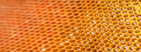 Téléchargez les photos : Rayon de miel de ruche rempli de miel doré. Composition estivale en nid d'abeille composée de miel gluant du village d'abeilles. Miel rural d'abeilles nids d'abeilles à la campagne. Concept apicole - en image libre de droit