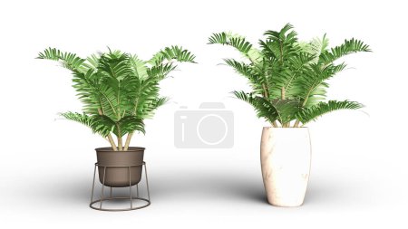 3D digital render of plant isolated on white background with clipping path.