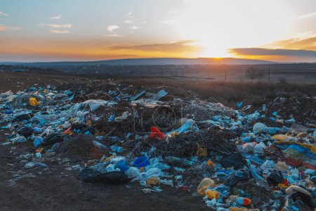 Téléchargez les photos : Urban garbage in polluted field at sunset. Environmental concept. - en image libre de droit