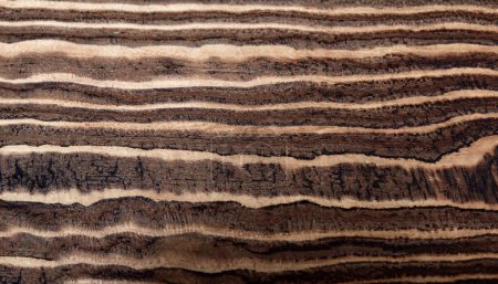 Photo for Texture of dry wood plane tree without bark - Royalty Free Image