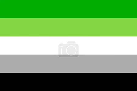 Aromantische Flaggen, LGBT-Flagge, Grün für aromatisches Spektrum, Weiß für platonische Liebe und Freundschaft, Grau und Schwarz für Sexualspektrum