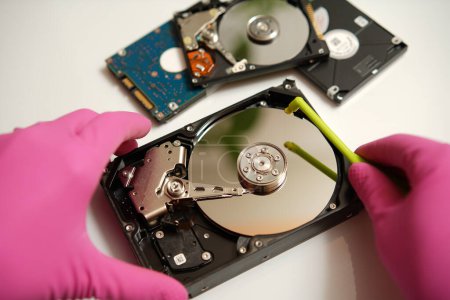 Téléchargez les photos : Un réparateur en gants roses tient un disque dur dans ses mains Effectue le nettoyage et la récupération des données perdues - en image libre de droit