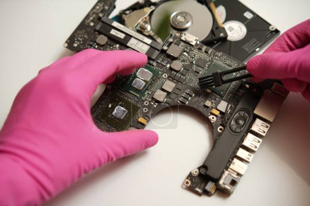 Foto de Un reparador con guantes rosados sostiene un disco duro en sus manos Realiza la limpieza y recuperación de los datos perdidos - Imagen libre de derechos