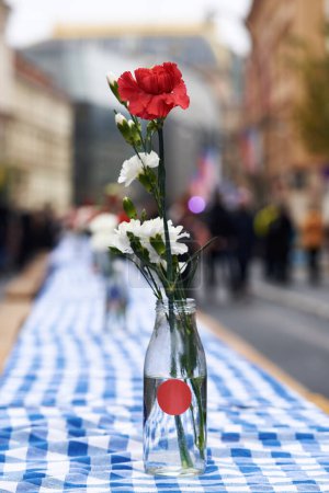 Photo for Red and white carnation flowers outdoors at the anniversary of Czech Velvet Revolution on 17th November in Prague - Royalty Free Image