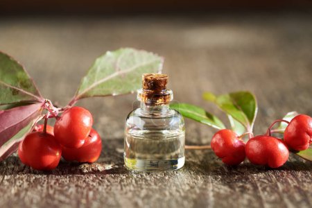 Photo for A bottle of aromatherapy essential oil with fresh wintergreen berries on a wooden table - Royalty Free Image