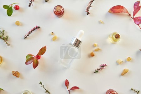 Téléchargez les photos : Fond blanc avec des bouteilles d'huile essentielle d'aromathérapie à la verdure d'hiver fraîche, encens et thym - en image libre de droit