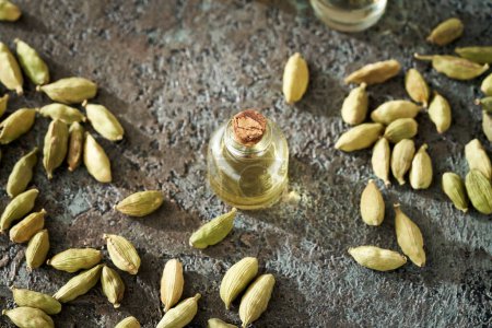Photo for A transparent bottle of aromatherapy essential oil with cardamom seeds - Royalty Free Image