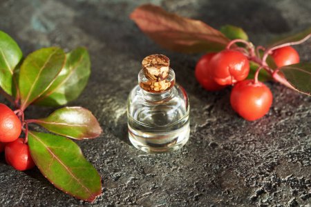 Téléchargez les photos : Une bouteille d'huile essentielle d'aromathérapie aux feuilles et baies d'hiver sur fond sombre - en image libre de droit