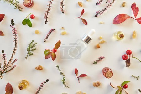 Téléchargez les photos : Fond blanc avec des bouteilles d'huile essentielle d'aromathérapie avec de l'encens, de la verdure d'hiver et d'autres herbes - en image libre de droit