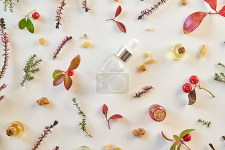 Téléchargez les photos : Sélection d'huiles essentielles d'aromathérapie à l'encens, à la verdure d'hiver et autres herbes sur fond blanc - en image libre de droit