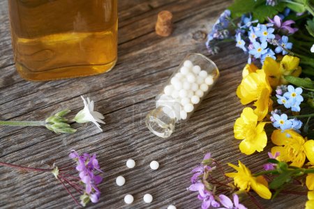 Foto de Una botella de píldoras homeopáticas con una tintura y flores frescas de primavera y hierbas - Imagen libre de derechos