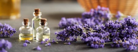 Foto de Banner panorámico con botellas de aceite esencial de aromaterapia con flores frescas de lavanda - Imagen libre de derechos