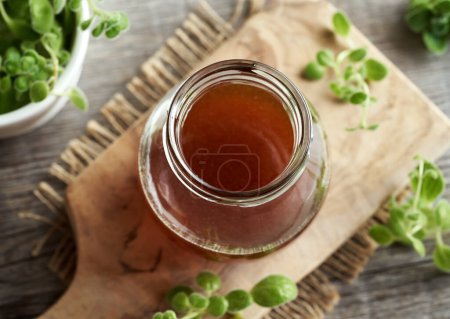 Photo for A jar of homemade Plectranthus amboinicus syrup for common cold - Royalty Free Image