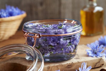 Photo for Wild chicory herbal tincture in a glass jar, with fresh flowers - Royalty Free Image