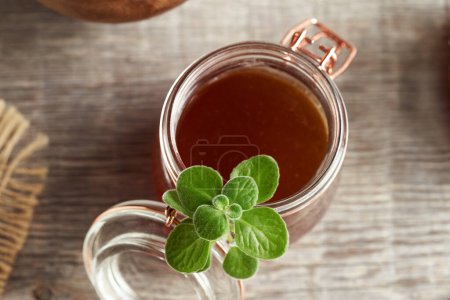 Photo for A jar of homemade Plectranthus amboinicus syrup with fresh plant, top view - Royalty Free Image