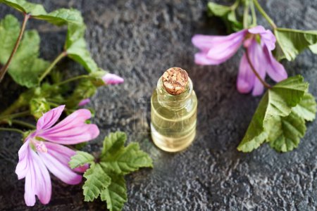 Photo for A bottle of aromatherapy essential oil with fresh blooming mallow plant - Royalty Free Image