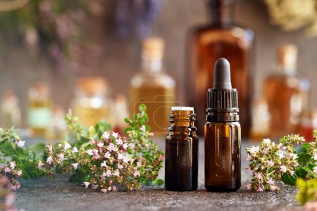 Foto de Frascos marrones de aceite esencial de aromaterapia con hojas frescas de orégano y flores sobre una mesa - Imagen libre de derechos