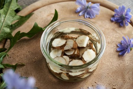 Photo for Sliced fresh chicory root and alcohol in a glass jar - preparation of homemade tincture - Royalty Free Image