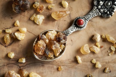 Frankincense resin on a metal spoon on a table, top view