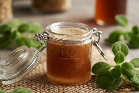 Photo for A jar of homemade Plectranthus amboinicus syrup for common cold, with fresh leaves - Royalty Free Image