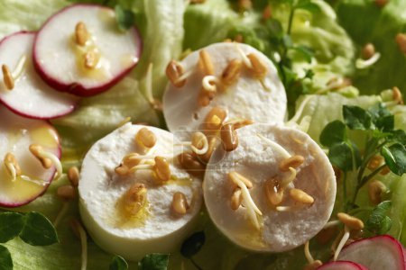 Primer plano de la ensalada de verduras con queso de cabra, brotes de alholva y plantas comestibles silvestres de pollito cosechadas en primavera
