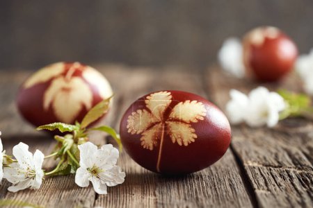 Huevos de Pascua marrones teñidos con cáscaras de cebolla con un patrón de hojas sobre una mesa, con flores frescas de cerezo