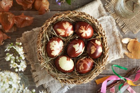 Brown Easter eggs dyed with onion peels in a basket with spring flowers, top view