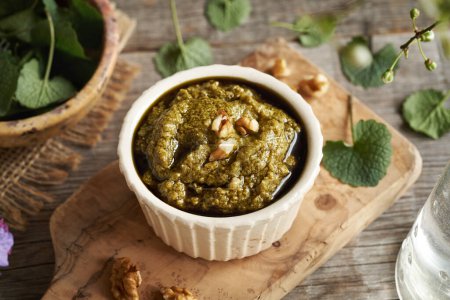Pesto sauce made of fresh young garlic mustard leaves - wild edible plant harvested in early spring