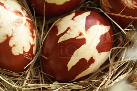 Huevos de Pascua marrones teñidos con cáscaras de cebolla con un patrón de hojas frescas, de cerca