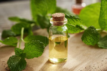 Una botella transparente de aceite esencial de aromaterapia con hojas de menta fresca     